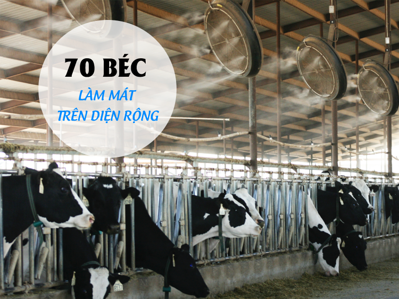 ưu điểm của bộ máy phun sương 2703 70 béc