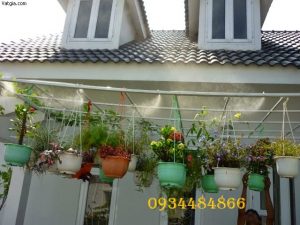 máy phun sương tưới cây