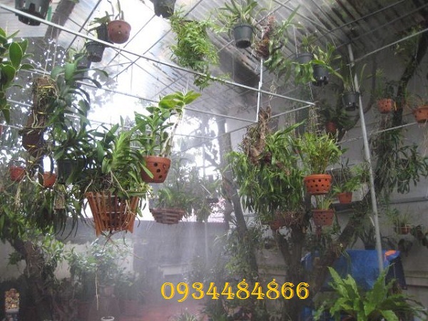 Cách lắp đặt hệ thống máy phun sương tưới lan