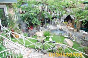 máy phun sương giá rẻ