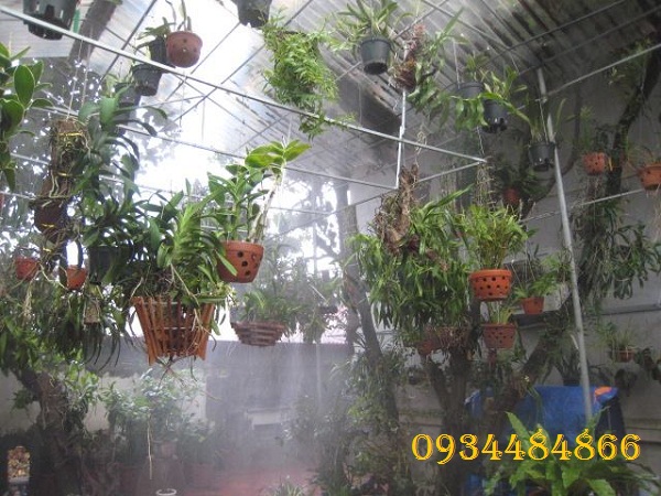 Đánh giá về máy phun sương FOG 2703