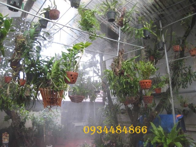 Ứng dụng của máy phun sương hẹn giờ