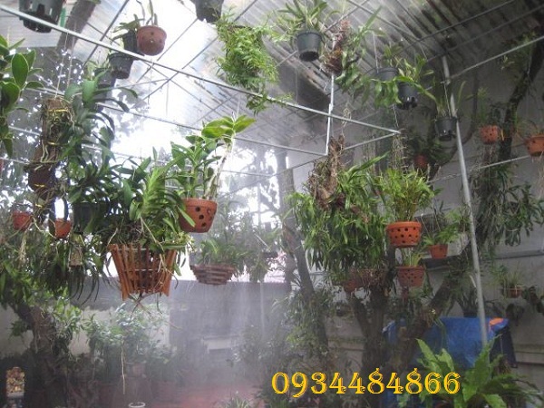 Ứng dụng của máy phun sương tạo độ ẩm