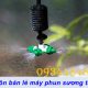 máy phun sương tại Quảng Trị