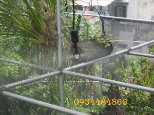 lắp đặt hệ thống phun sương tại Lào Cai