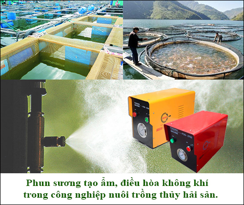 Sử dụng máy phun sương cho hồ cá mang lại nhiều lợi ích
