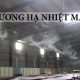 Giải pháp hệ thống phun sương làm mát mái tôn hiệu quả cho diện tích rộng