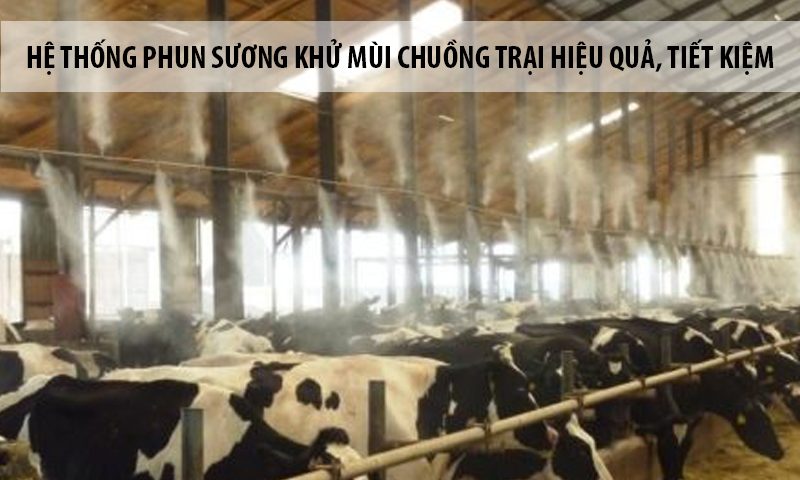 Phương pháp máy phun sương khử mùi tiết kiệm, hiệu quả