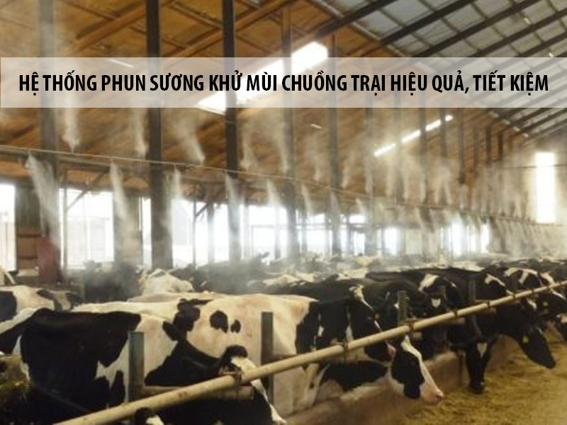 Phương pháp máy phun sương khử mùi tiết kiệm, hiệu quả