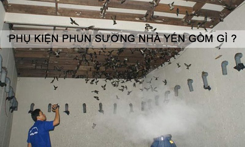 Chọn phụ kiện phun sương cho nhà nuôi yến