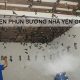 Chọn phụ kiện phun sương cho nhà nuôi yến