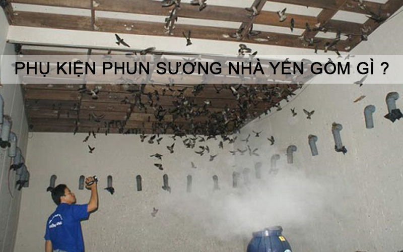 Chọn phụ kiện phun sương cho nhà nuôi yến