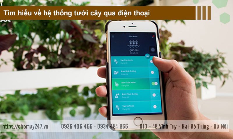 Sử dụng hệ thống phun sương từ xa kết nối wifi điện thoại, điều khiển dễ dàng