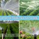Hệ thống phun sương tự động tưới rau mang lại ưu lợi gì ?