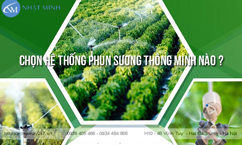 Nên chọn hệ thống phun sương hẹn giờ hay kết nối wifi