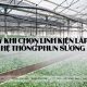 Lắp đặt hệ thống phun sương cần lưu ý gì