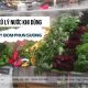 Máy bơm phun sương dùng nước gì ?
