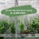 Giá bộ máy bơm phun sươn 40m mới nhất 2023